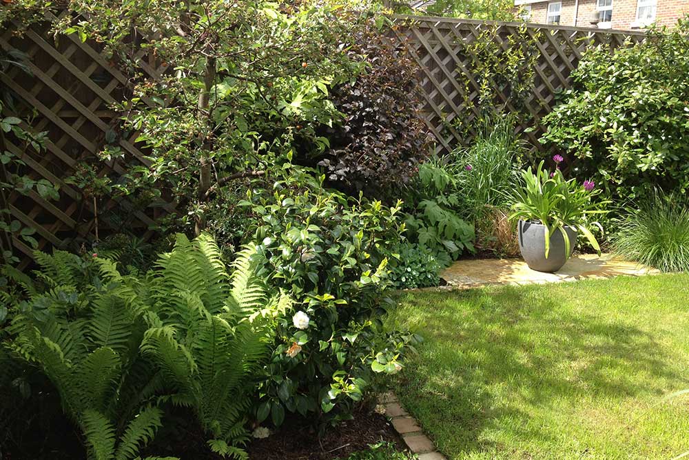 Small-garden-Worcester-Park-2