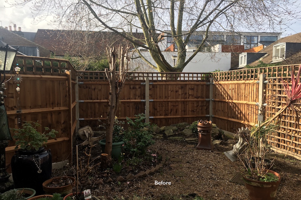 Planting Design Twickenham 11