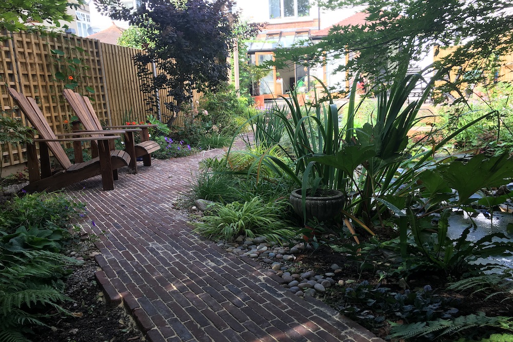 A garden rejuvenation 2, Thames Ditton