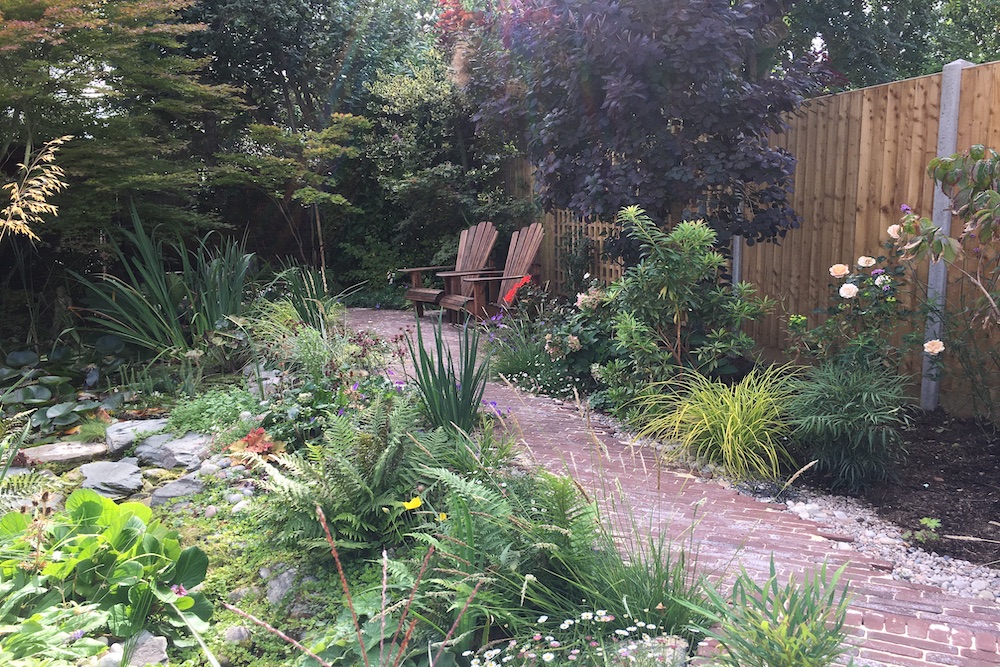 A garden rejuvenation 4, Thames Ditton