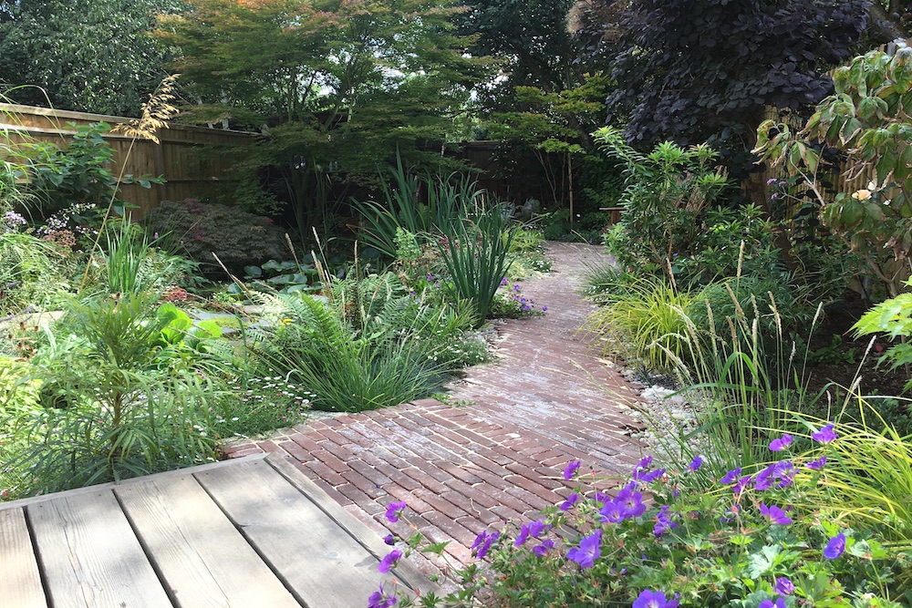 A garden rejuvenation 5, Thames Ditton