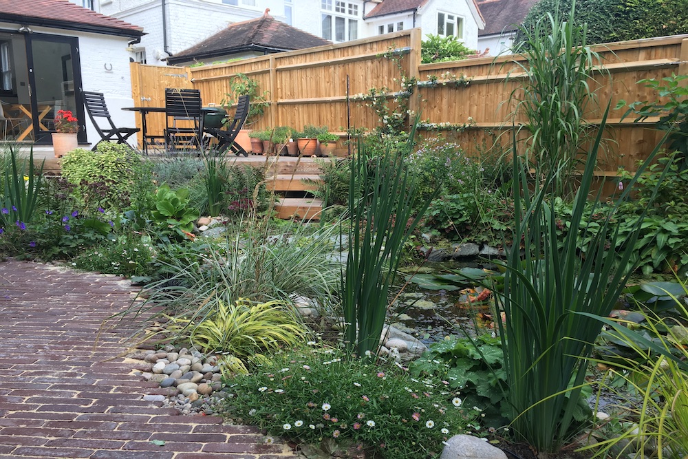 A garden rejuvenation 6, Thames Ditton