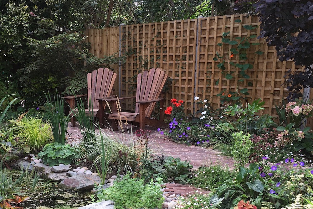 A garden rejuvenation 9, Thames Ditton